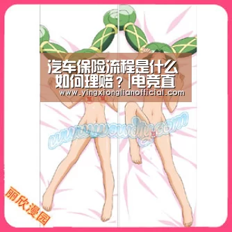 汽车保险流程是什么 如何理赔?|电竞直播(图1) 电竞直播